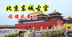 鸡巴操爆小骚逼网站中国北京-东城古宫旅游风景区